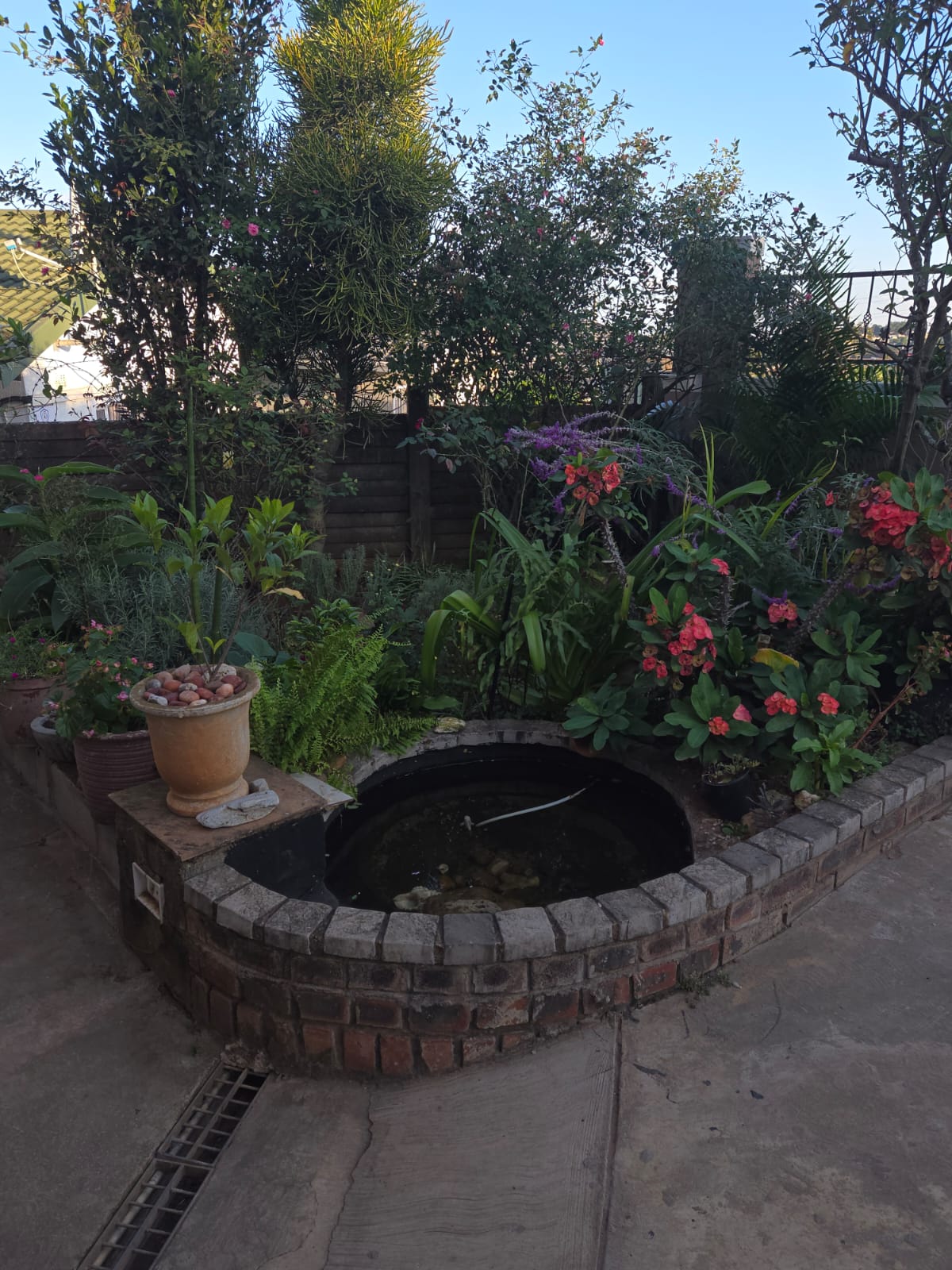 Garden Comfort Suite